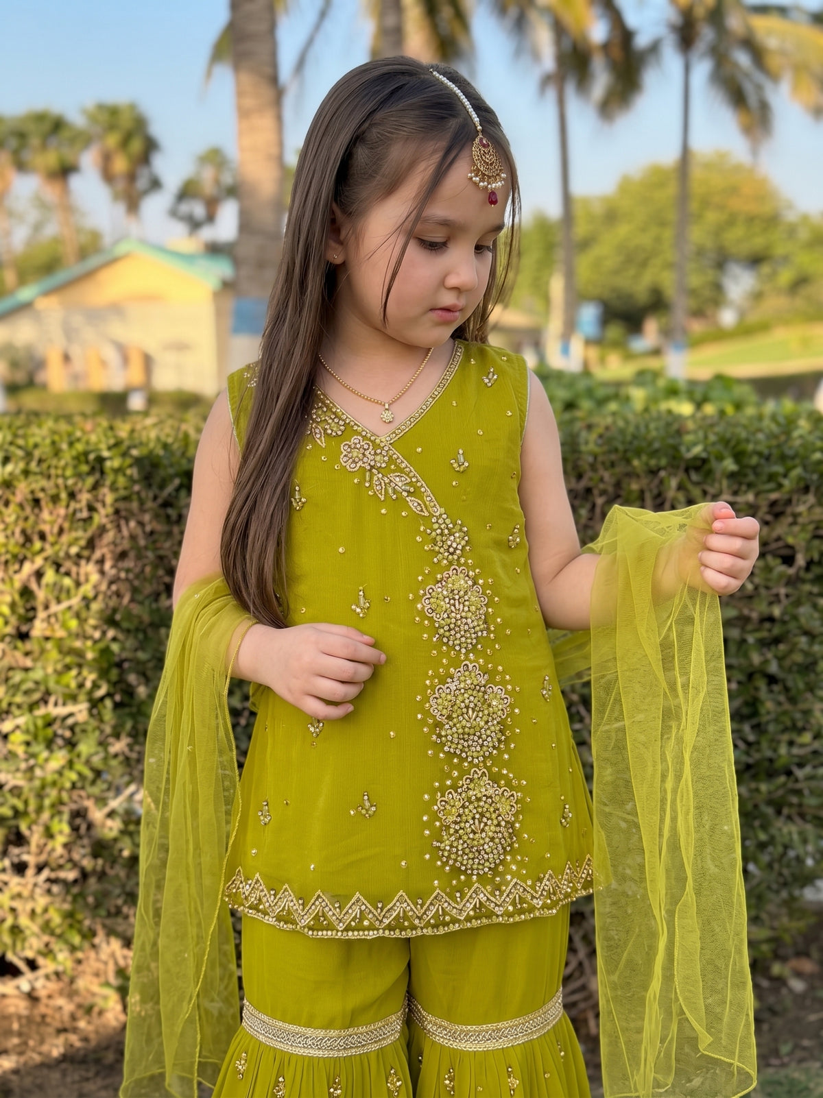 Little Princess 502 Parrot Green