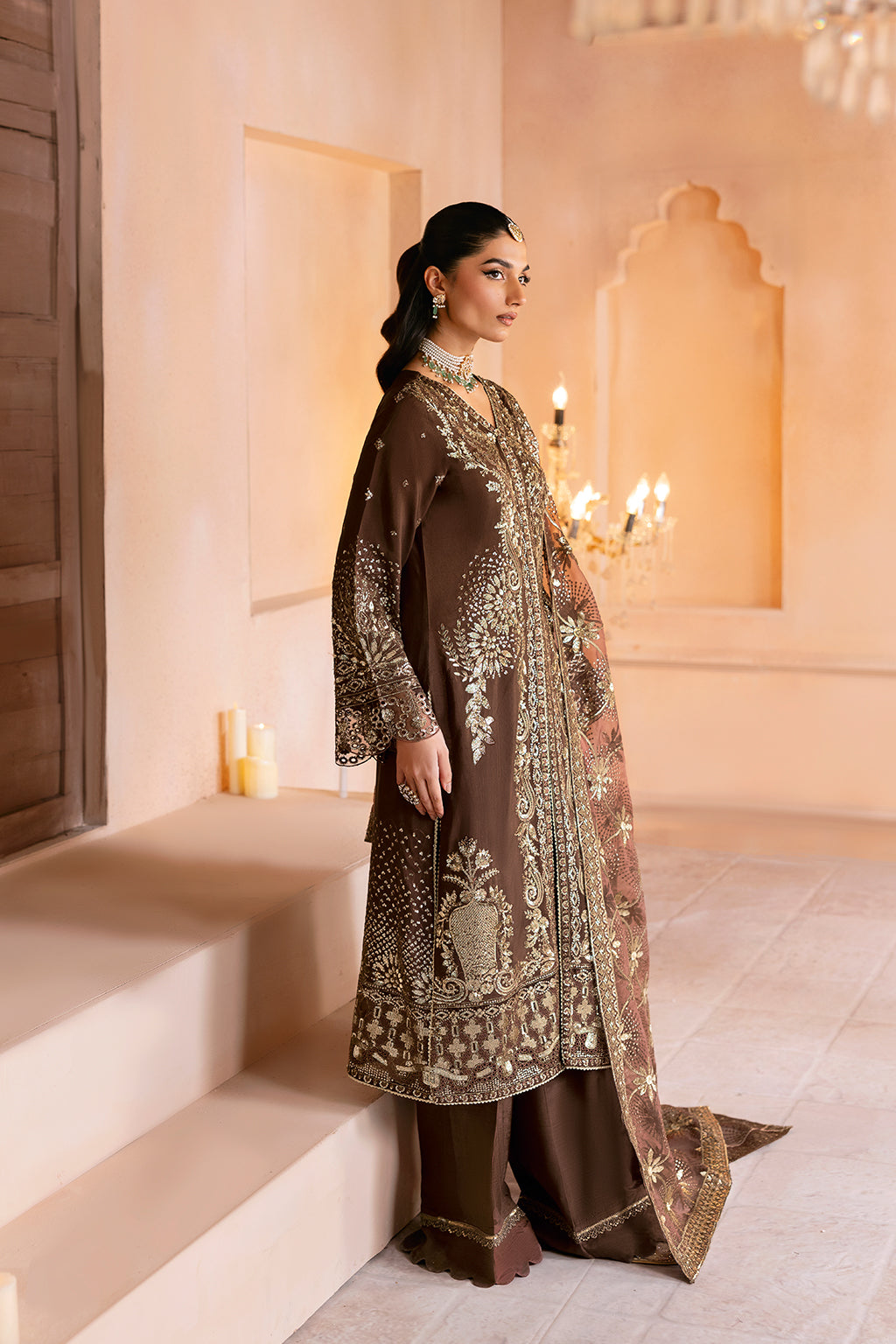 Shehnai Raw Silk Vol-01 SS-108 Brown