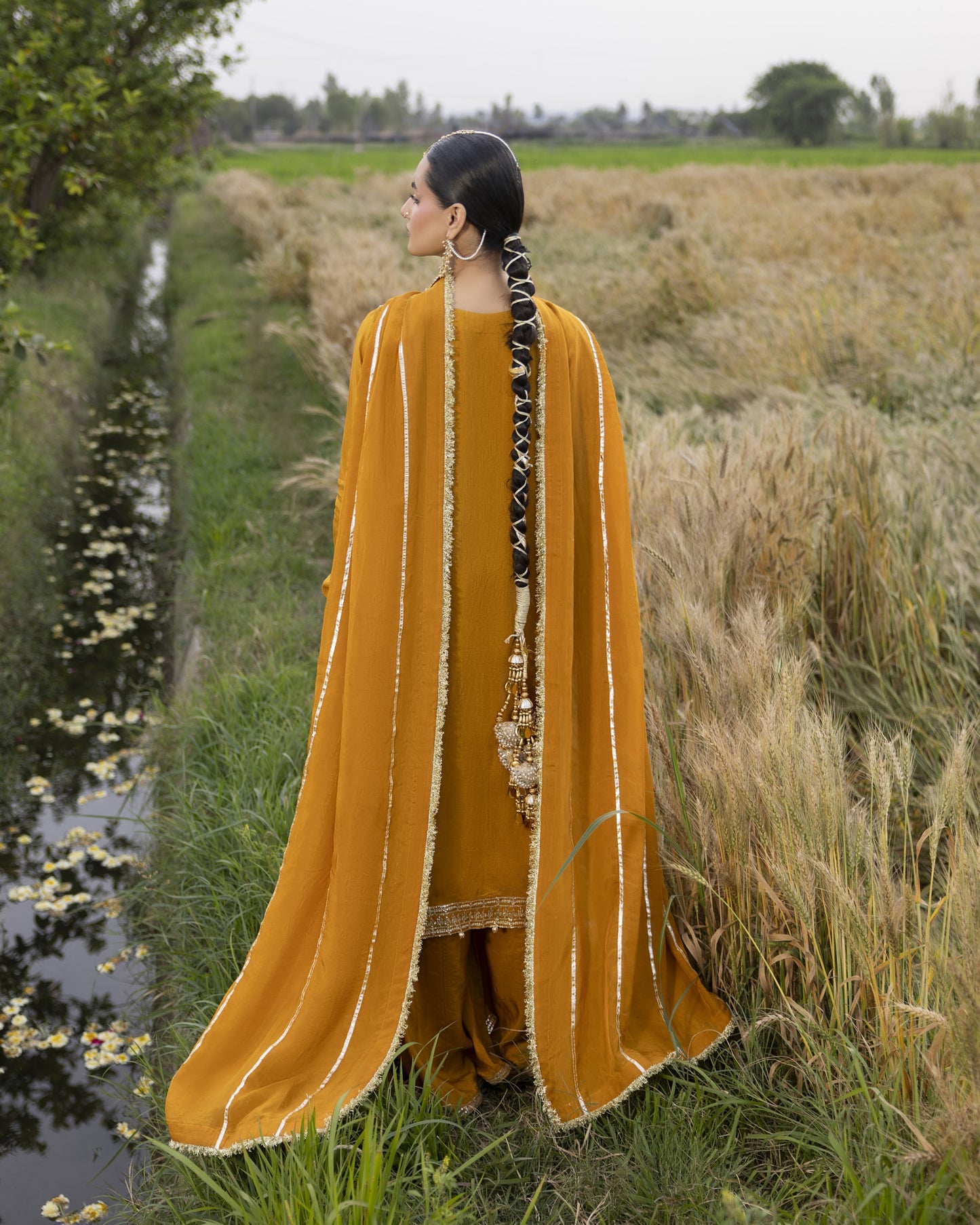 Heer Silk ZQ 2629 Mustard