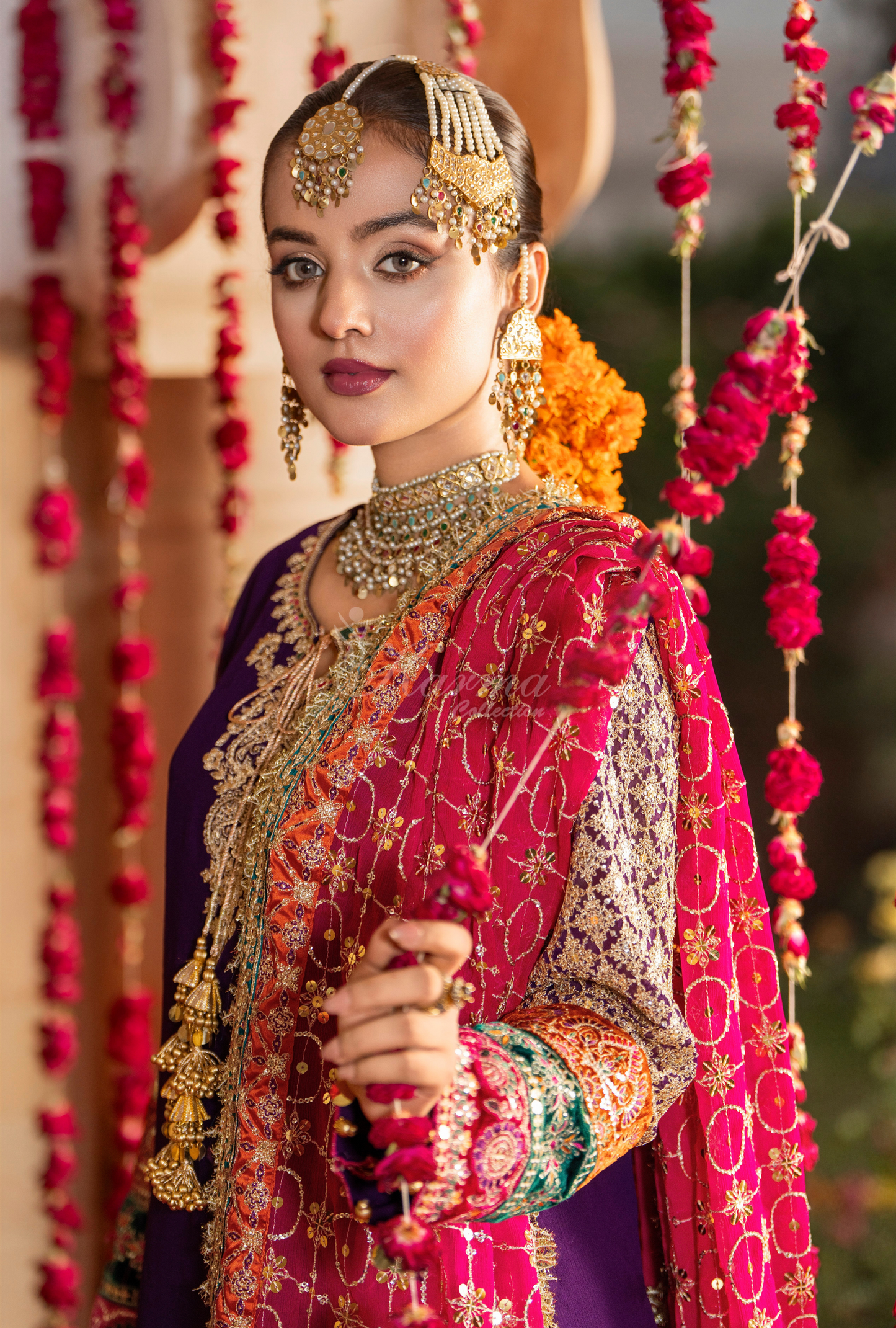 Karma Jahanara 498 Royal Purple