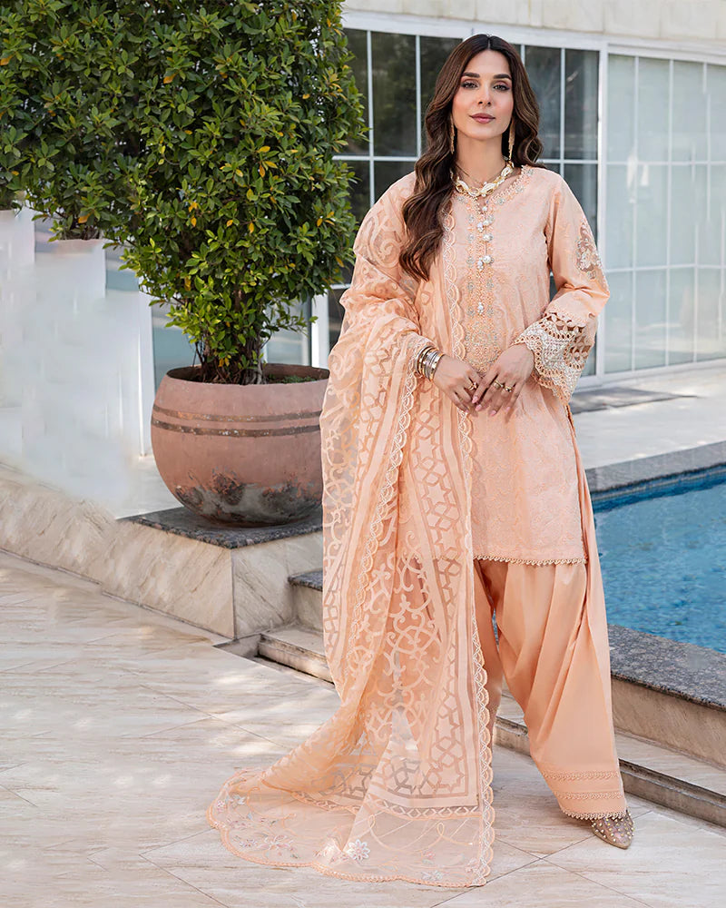 Nayab ZR 2535 Zinnia Peach