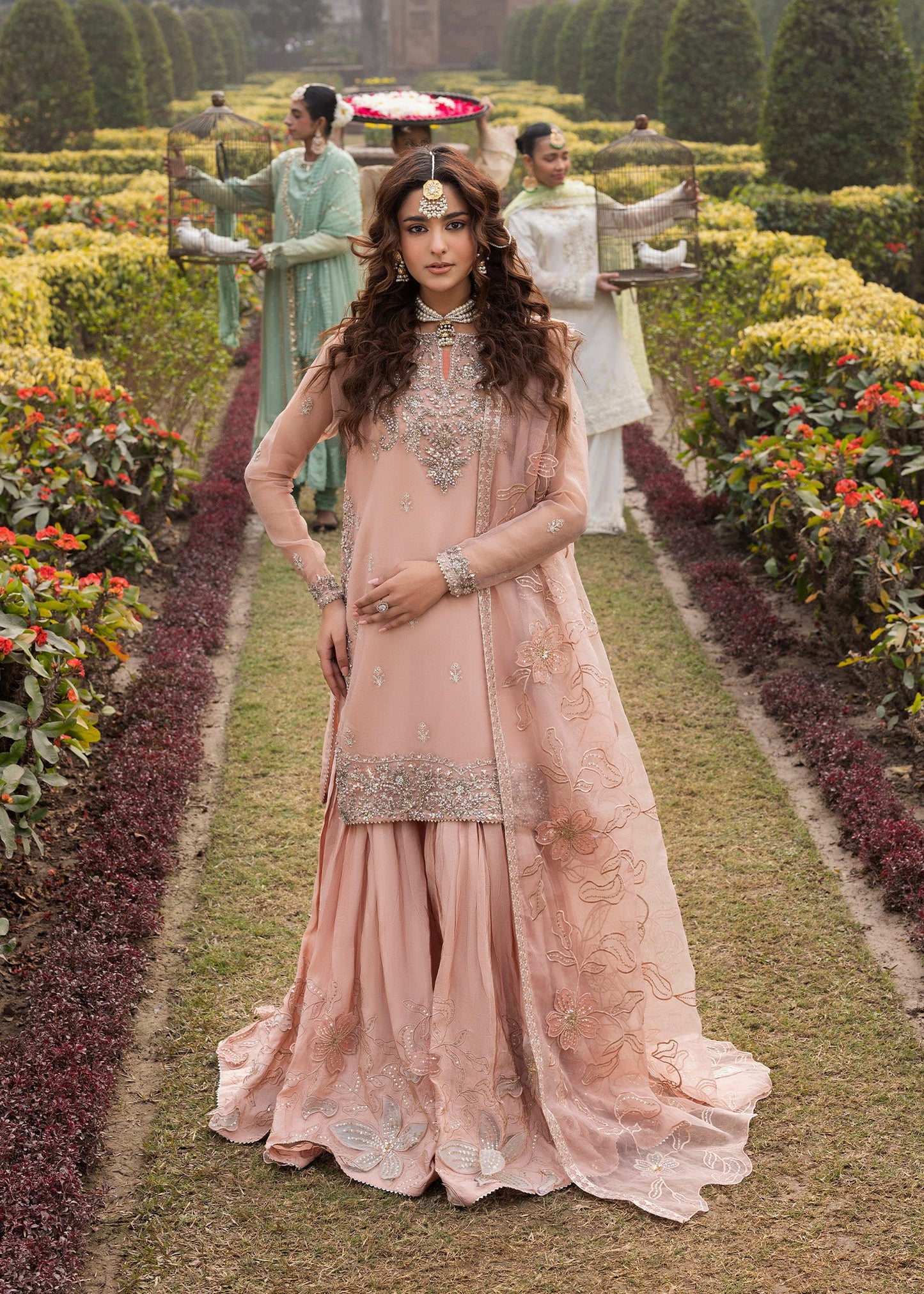 Dastoor ZQ 2578 Peach Orange