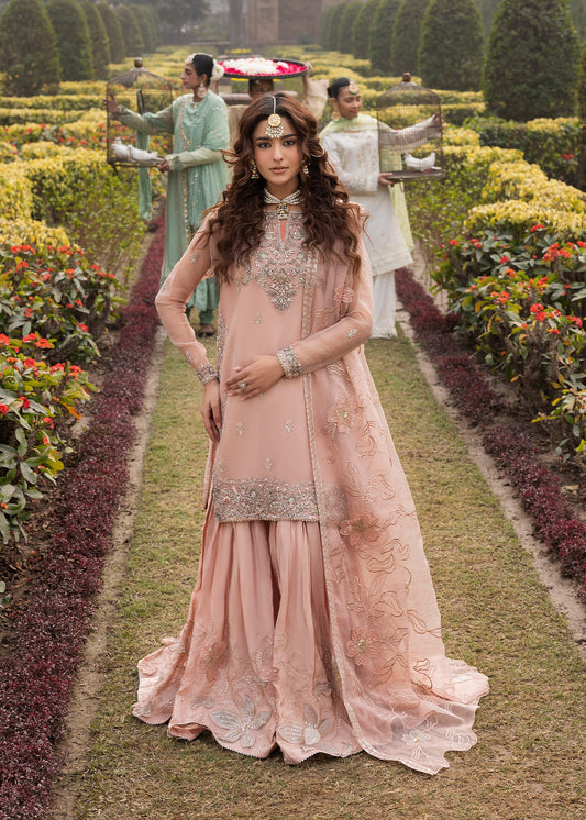 Dastoor ZQ 2578 Peach Orange