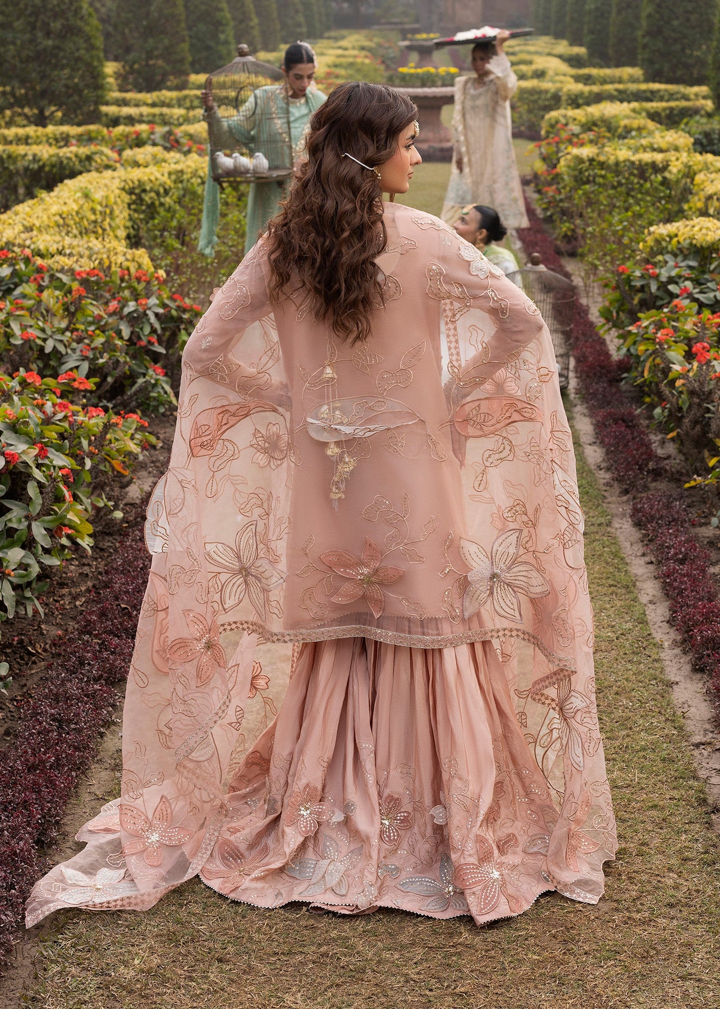 Dastoor ZQ 2578 Peach Orange