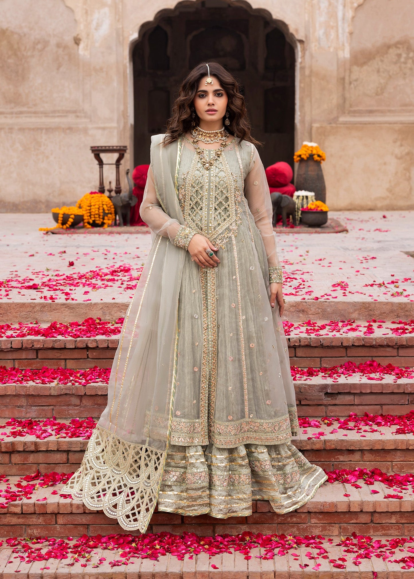 Dastoor ZQ 2579 Sage Green