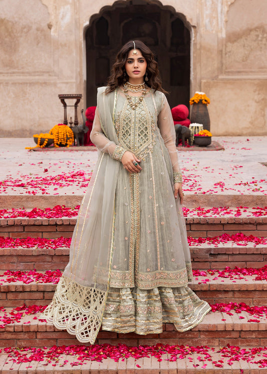 Dastoor ZQ 2579 Sage Green