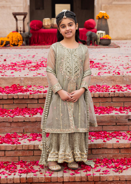 Dastoor Kids ZQ 2579 Sage Green