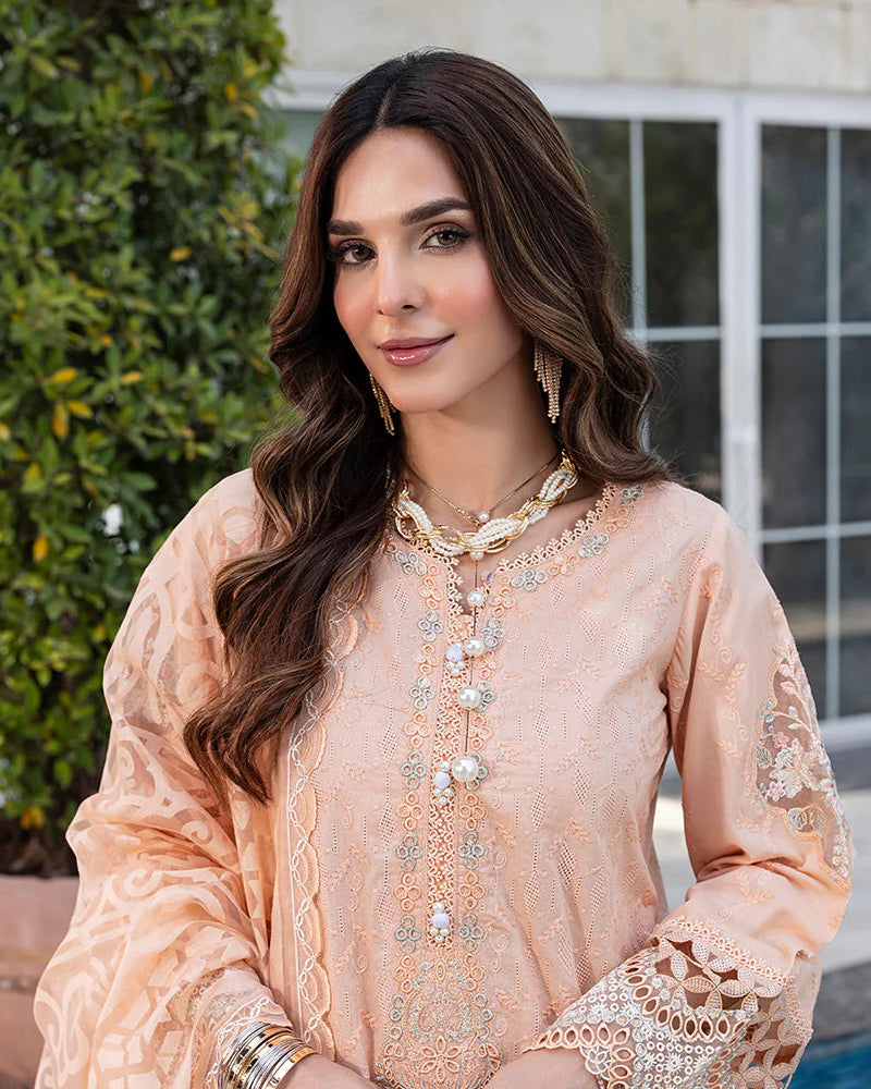 Nayab ZR 2535 Zinnia Peach