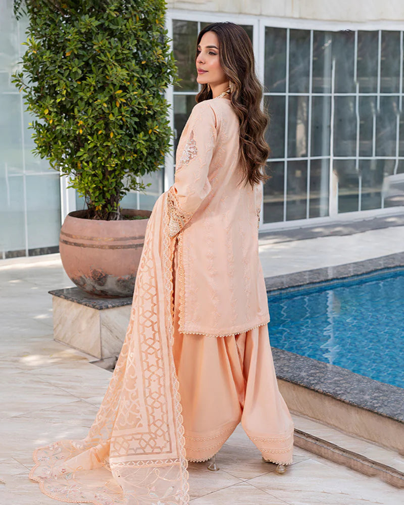 Nayab ZR 2535 Zinnia Peach