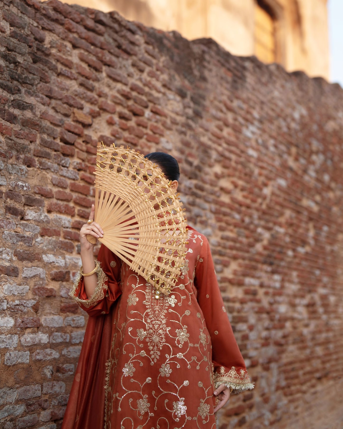 Darbar Mehrunisa Rust