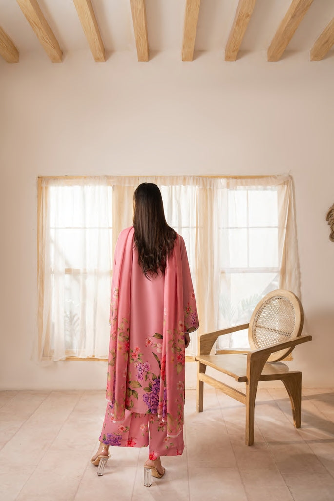 Gul-e-Jana Petal Bloom