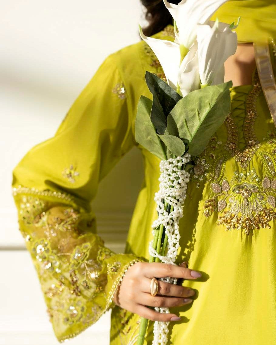 Ivana ZQ 06 Parrot Green