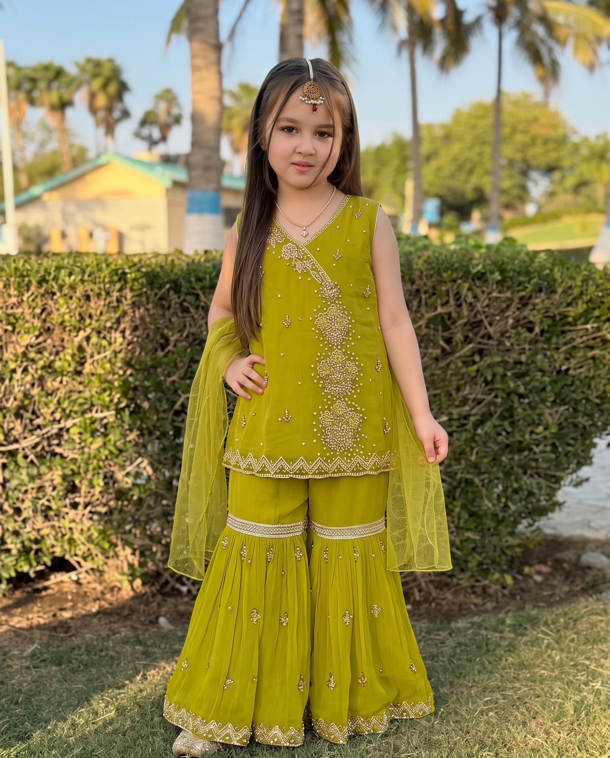 Little Princess 502 Parrot Green