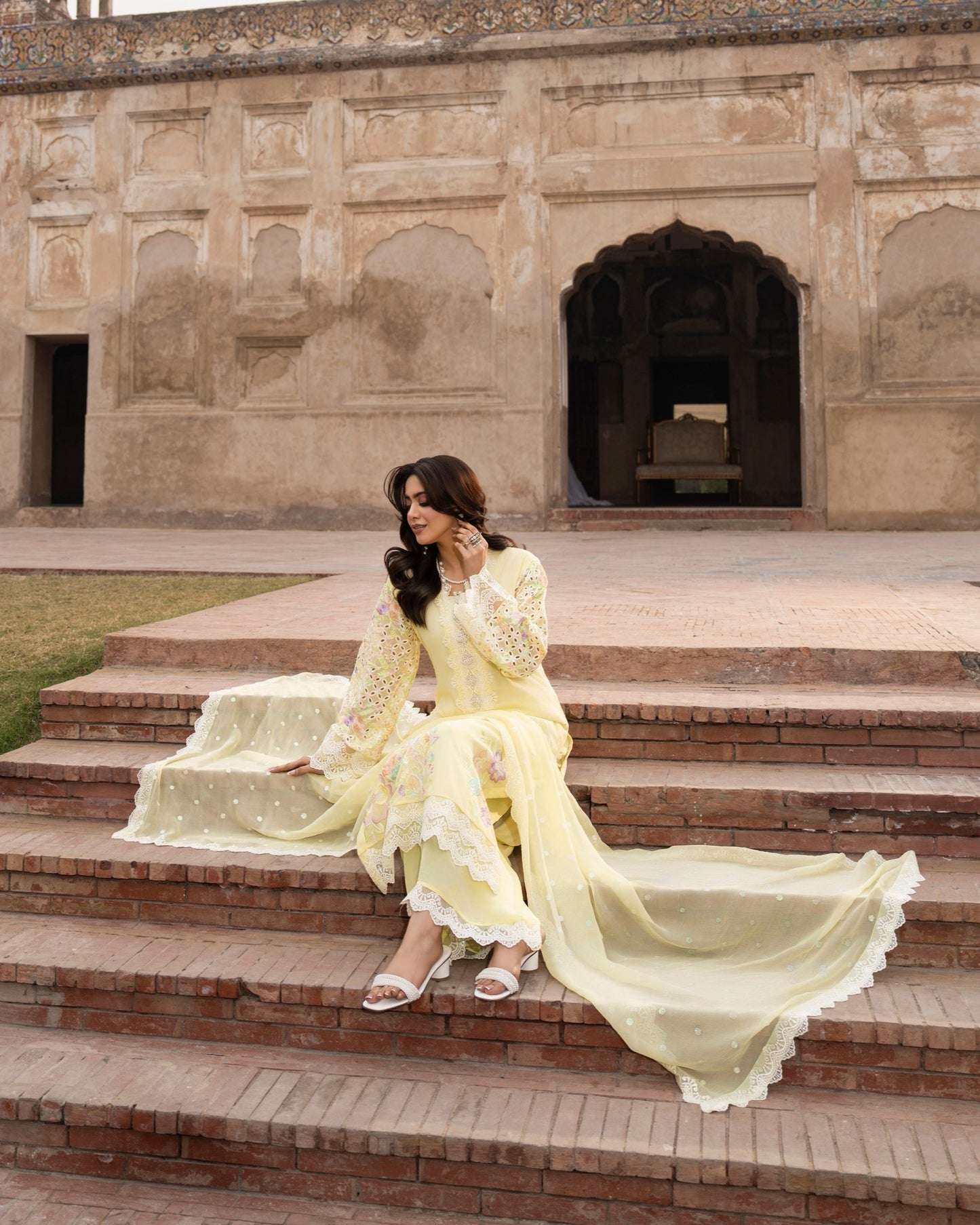 Karma Saj Dhaj 523 Daffodil