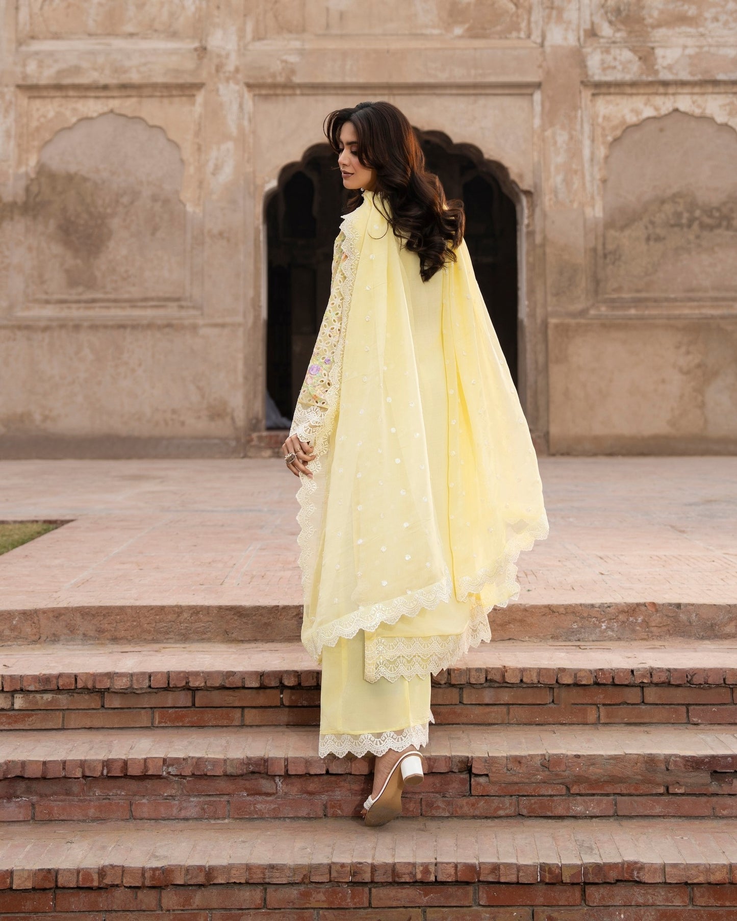 Karma Saj Dhaj 523 Daffodil