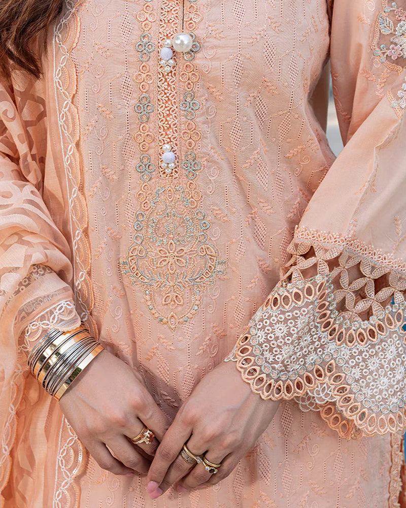 Nayab ZR 2535 Zinnia Peach