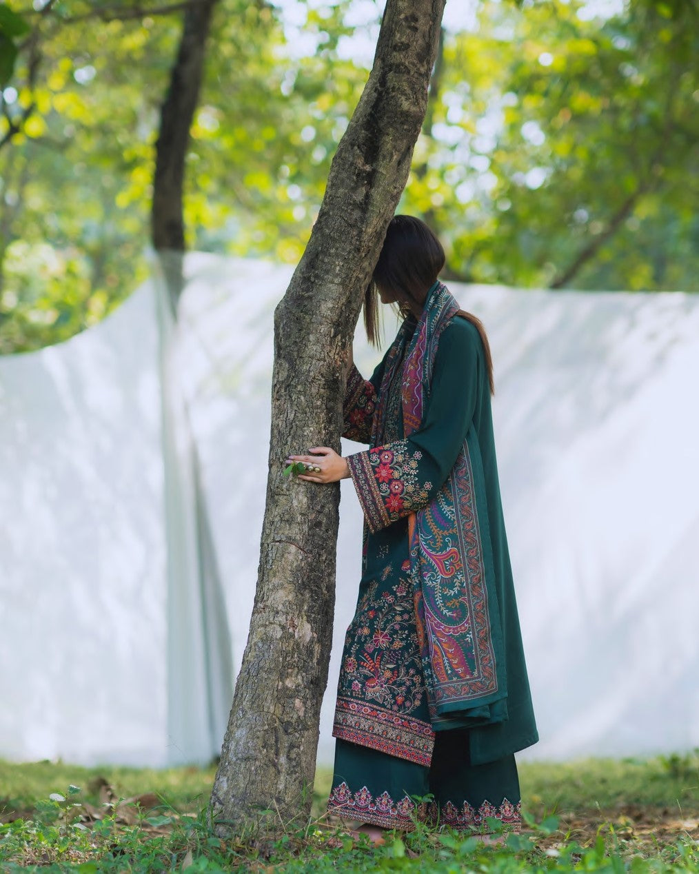 Warmth of November Dhanak Timber Green